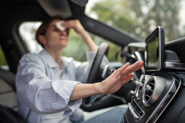Best Affordable Air Conditioning Repair  in Louisiana, MO